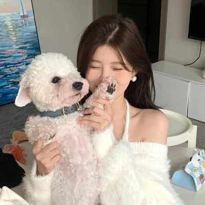 完美的结局